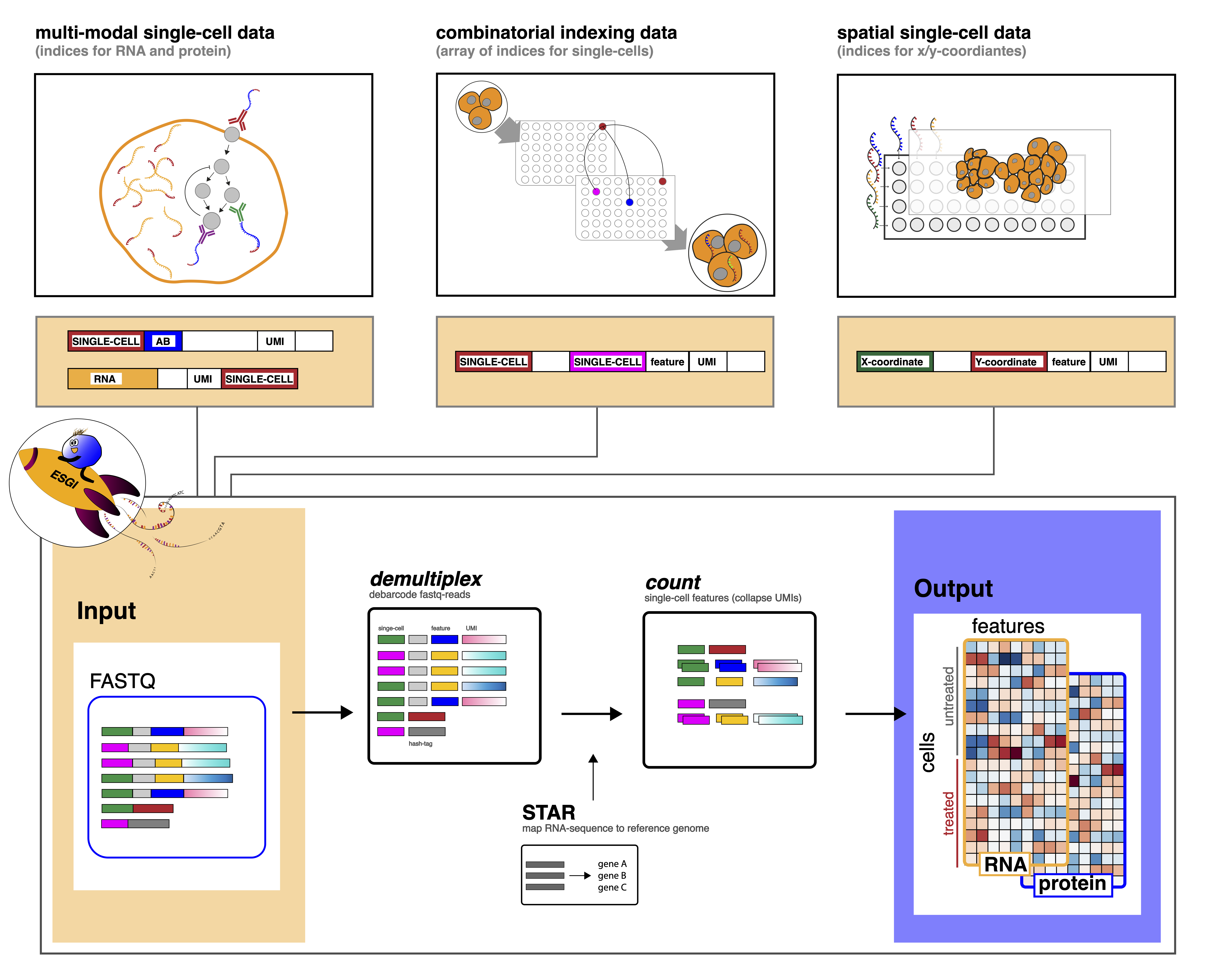 assets/img/overview.png